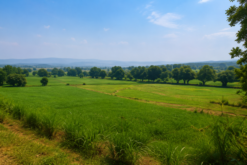 Agricultural land with lush green fields and scenic countryside in Kallar Kahar, Pakistan, suitable for farming and long-term investment.
